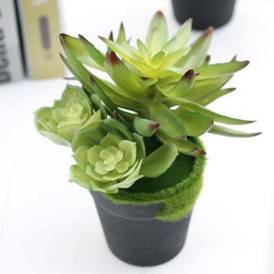 China Minimalist Shininglife Household Decorates Miniascape Artificial Succulent Plants for sale