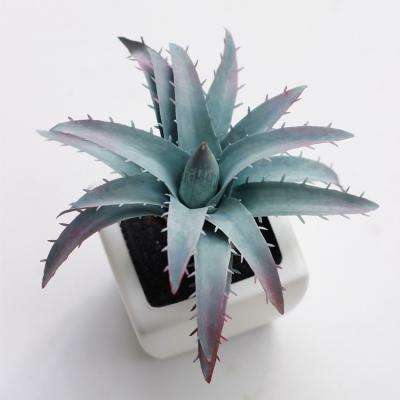 China High Quality Artificial Home Decoration Shininglife Bonsai Pot Aloe Vera Plant For Home Decoration for sale