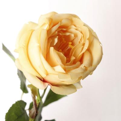 China Yiwu High-Grade Single Flower Brand Shininglife Artificial Royal British Silk Roses Silk Roses Wholesale Yiwu Royal British Silk for sale