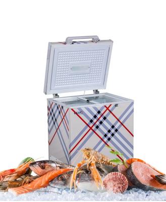 China Outdoor Car Meat Seafood Vegetable Storage Freezer Chest For Patio for sale