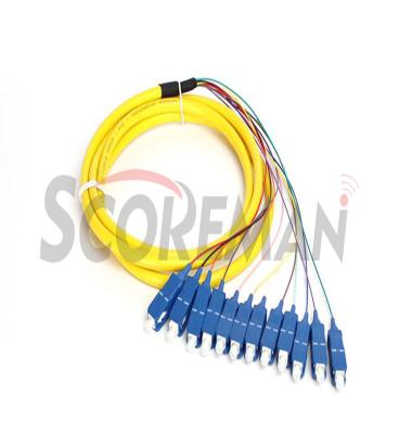 China Wholesale Price 12 Core SC Optical Package Stern Line With Tail Fiber 12 Core SC for sale