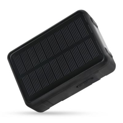 China High Quality 4g LTE Automotive Web and App Vehicle Car Tracking Device Gps Tracker for sale