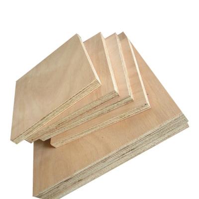 China 18mm 20mm 22mm contemporary okoume birtch core plywood wall panel for sale