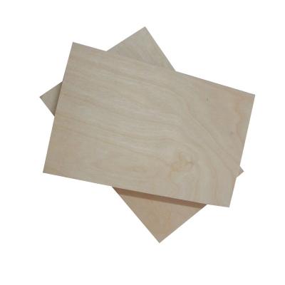 China Cheap Hotel Hardwood Core 18mm Marine Plywood for sale