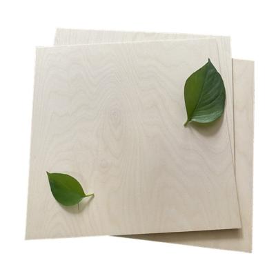 China Contemporary Plywood 3mm Baltic Birch For Furniture Decoration Packaging Construction From China Good Wood for sale