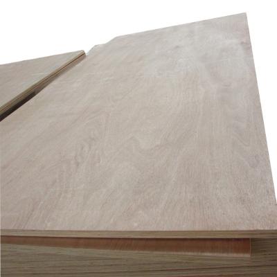 China Good Quality Plywood Veneer Contemporary Plywood Plywood Wood Sizes for sale