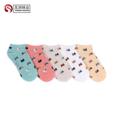 China YR-A 145 Viable Sexy Girls Wearing Low Cut Ankle Socks For Women From Girl And Women's Fashion for sale