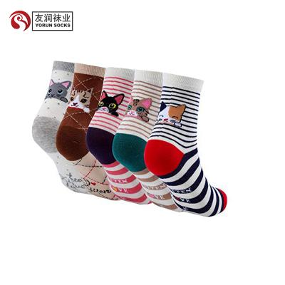 China YR-A 354 Kitten Cat Design Viable Socks for sale