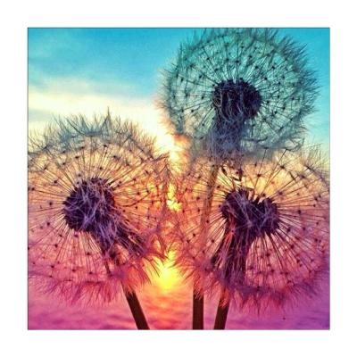 China Dandelion Round Diamond Embroidery Canvas Wall Painting Modern Embroidery Arts and Crafts for sale