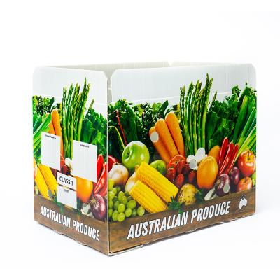 China Gravure Printing Vegetable Boxes 62L Customized Fruit /Vegetable Packaging Corrugated Plastic Box Corrugated Storage PP Packing Boxes for sale