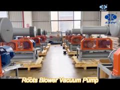 -10kpa - 40kpa roots blower vacuum pump dn150 lobe rotary type blower