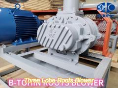 low noise air three lobe roots blower with pressure 10-60kpa roots aerator