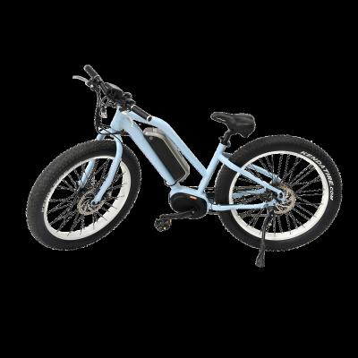 China Beach Cruiser Mountain Bike Standard 26 Inch 36v Fat Tire Adult Electric Bicycle for sale