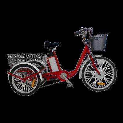 China Standard 24 Inch 250W Three Wheel Adult Electric Cargo Tricycle With Lithium Battery for sale