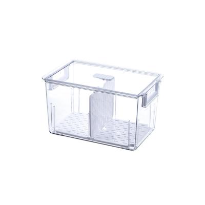 China 2021 Transparent Freshness Storage Storage Box Large Capacity Food Fridge Organizer for sale