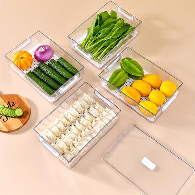 China Transparent Freshness Storage Refrigerator Storage Box Large Capacity Food Storage Box for sale