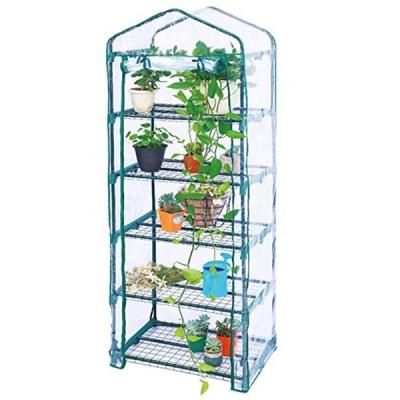 China Easily Assembled 5 Tier Mini Greenhouse For Garden PVC Film Greenhouse for sale