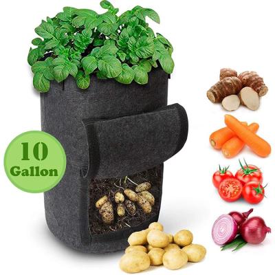 China 10 Gallon Felt Potato Grow Bag for sale