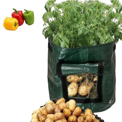 China Waterproof And Heavy Duty Plastic Nursery Grow Bag For Breeding And Seedling for sale