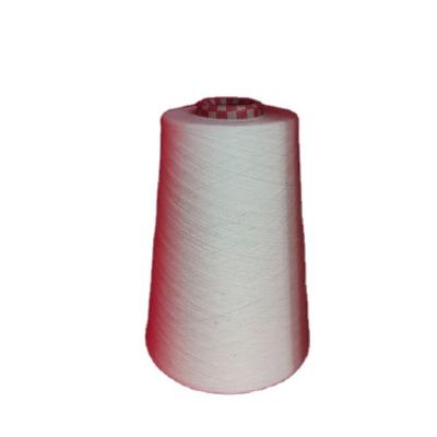 China Blend Chat China Manufacturer 100 Percent Polyester Spun Yarn 30/1 Knitting for sale