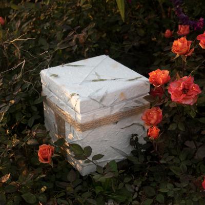 China Viable Coral Pet Urns For Human Adult Funeral Urnas Ashes Urn Paper Caskets Paper Urna Biodegradable Para Mascotas Scatter Box for sale