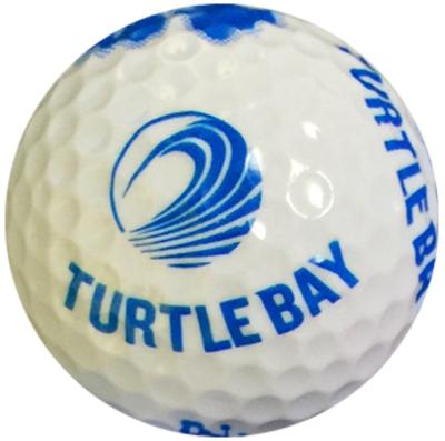 China Practice In Range High Quality Custom Golf 4 Layer Golf Ball With Logo Custom Golf Balls for sale