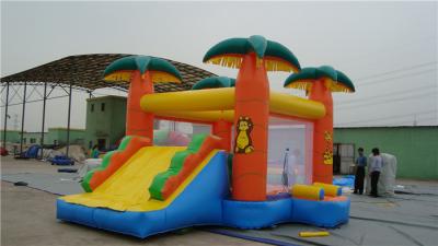 China Casa de la despedida del tobogán acuático del patio trasero, casa inflable popular de la despedida del castillo en venta