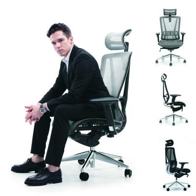 China Ergonomic (Height)Adjustable Office Furniture Mesh Commercial Modern Office Chair Haushi Executive Chair for sale