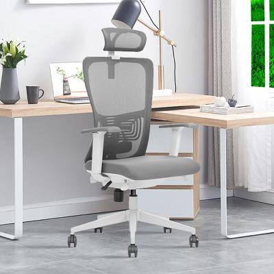 China Ergonomic Fabric Chair Armrest Office Mesh Computer Chair Ergonomic (Height) Adjustable High-Back Huashi Swivel for sale