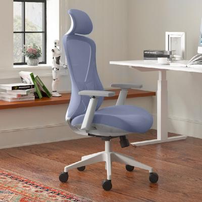 China (Size) Mesh Fabric Office Chair /modern Computer Desk Furniture Ergonomic Adjustable Blue Swivel Chairs for sale