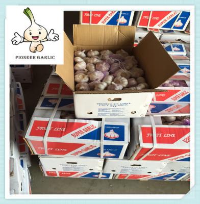 China High Quality Chinese Fresh Garlic 4.5CM fresh garlic factory fresh white garlic for sale