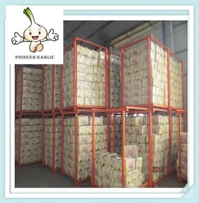 China Export 5Kg/Bag Fresh Red Garlic Natural new crop garlic white for sale