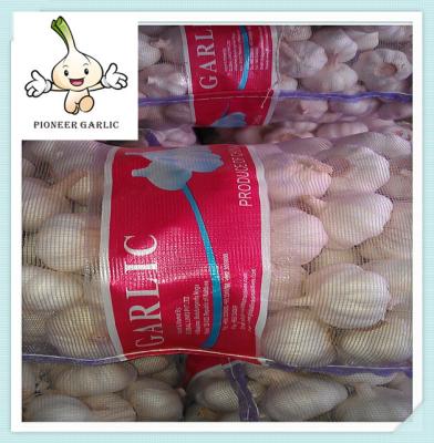 China 2016 Crop China Dry White Garlic Shandong Natural Fresh White Garlic for sale