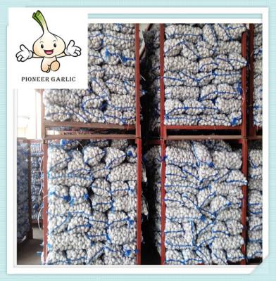 China Garlic/Garlic Price Per Ton, Hot Sale To More Than 56 Country for sale