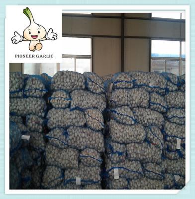 China China Wholesale Pure White Garlic for sale with good quality for sale