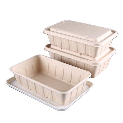 China Disposable Food Togo Boxes Square Bowl Straw Lunch Box Packaging Plant Wheat Bagasse Biodegradable for sale