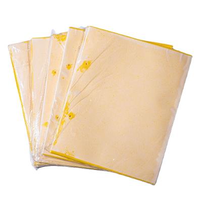 China Hot Sale Disposable Good Quality Popular Product Yellow Double Sided Sticky Traps Sticky Paper Traps for sale