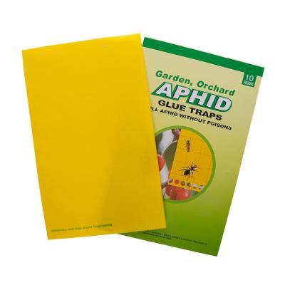 China Newest Design Disposable Good Quality Popular Product Yellow Sticky Traps For Insect Plant Protection for sale