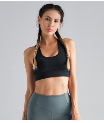 China New Women Gym Workout Breathable Sportswear Seamless Sports Yoga Bra for sale