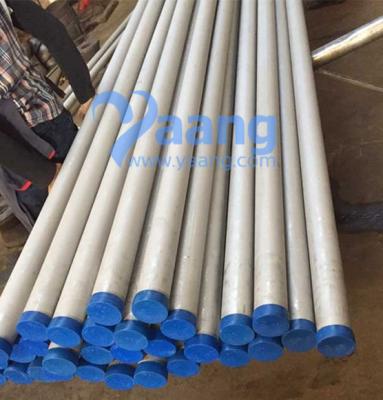 China A790 UNS32750 GR2507 SMLS Pipe DN20 SCH40S for sale