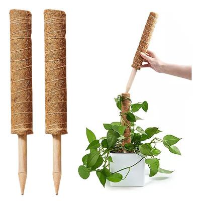 China Dropshipping Garden Coir Moss Stick Coir Totem Coconut Tree Sticks Plant Moss Pole Pole Moss Stick Vine Support For Climbing Plants for sale