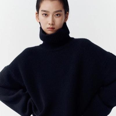 China Custom Knitted Sweater Winter Half Turtle Cashmere Sweater Women's Sweater Anti-Wrinkle Pure Wool 100% Neck Casual Wool Sweater for sale