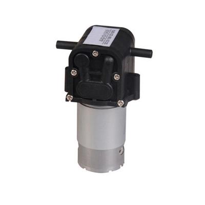 China Miniature Diaphragm Pump DC 12V 24V 36V Water Pump Water Purifier FDA Food Grade Pump 2L/min mini water dispenser pump for sale