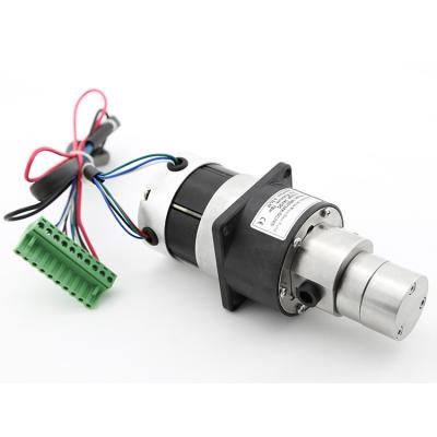 China High Pressure High Temperature DC Brushless Motor Controller Build-in Without Leakage Hot Oil Pump Gear Pump for sale