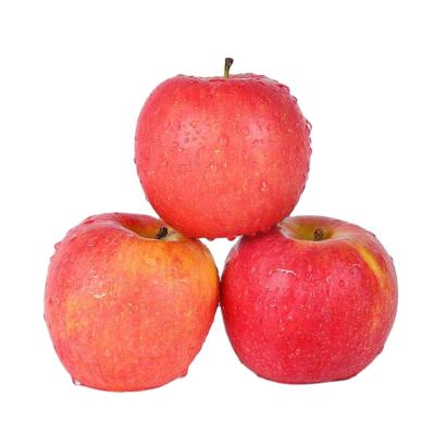 China New Fresh Season High Quality Fuji Red Apple For Sale, Fuji Delicious Apple Hot Sale In Dubai for sale