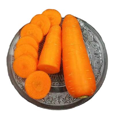 China China smooth fresh carrot export quality peel fresh carrots for sale non-peeled carrots en venta