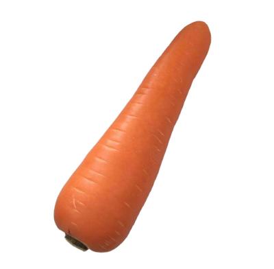 China Hot Selling Delicious Carrots New Crop High Quality Fresh Organic Carrot For Wholesale for sale