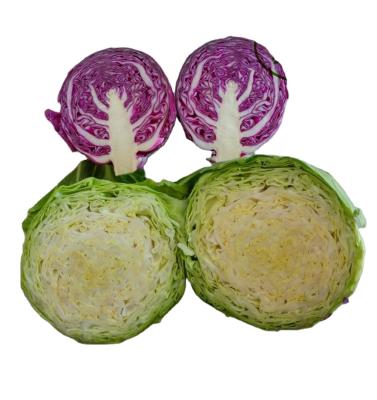 Chine High quality newest organic food fresh cabbage in hot sale market fresh cabbage, green and purple with low price à vendre