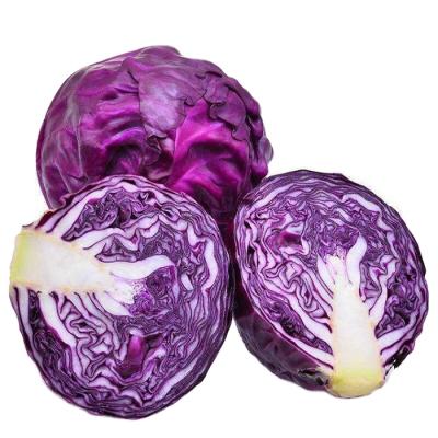 Chine Hot Selling Organic Food Fresh Cabbage With Competitive Price , New Crop Purple Common Cabbage For Export à vendre