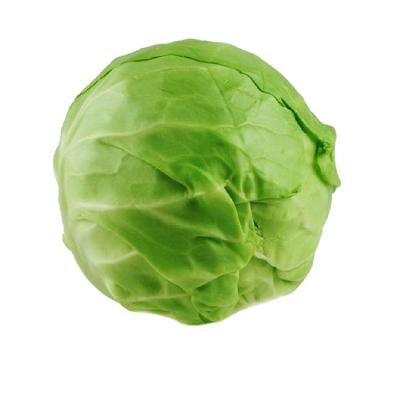 Chine 2021 Lowest Price Organic Food Fresh Cultivated Cabbage Hot Sale, High Quality Cabbage Supplier à vendre